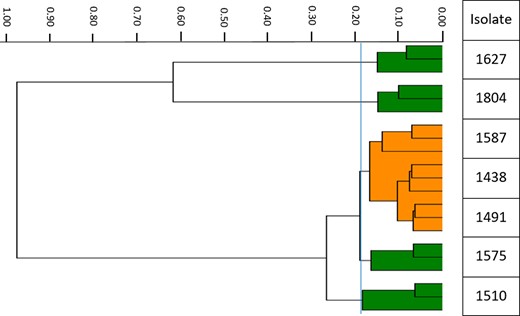 Dendrogram of the clinical isolates examined. Each bacterial isolate (labelled on the y-axis) was assessed in triplicate. The isolates were displayed according to their relative uniqueness (x-axis); closely related isolates are clustered together. The vertical blue line depicts the most discriminatory cut-off value (0.188) generated by the software algorithm. Isolates KP1438, KP1491 and KP1587 were deemed to be related and are displayed together using the same colour (orange). This figure appears in colour in the online version of JAC and in black and white in the print version of JAC.