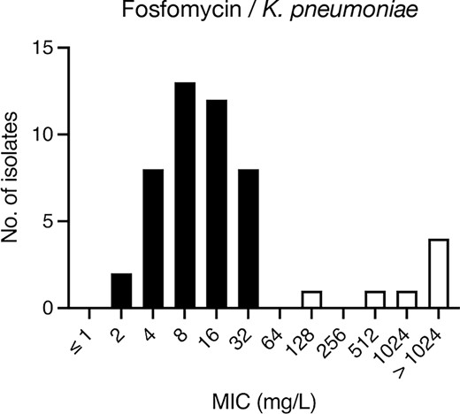 Fosfomycin MIC distribution among clinical K. pneumoniae urinary isolates (n = 50). MIC performed by agar dilution. Solid bars represent isolates with MICs within the WT range.