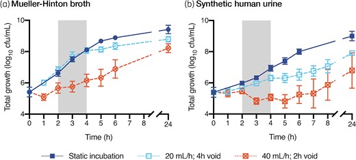 Drug-free growth under static and dynamic incubation conditions. Bacterial growth is presented as the average (±SD) of the 14 clinical isolates and the ATCC strain. Static incubation performed in 20 mL media, incubated at 36°C with vigorous shaking (200 rpm), without media inflow or outflow. Dynamic incubation performed in the bladder infection in vitro model under two different conditions: media inflow at 20 mL/h with 4-hourly voids compared with 40 mL/h with 2-hourly voids. The grey shaded area highlights the time over which the growth rate was assessed (2–4 h). This figure appears in colour in the online version of JAC and in black and white in the print version of JAC.