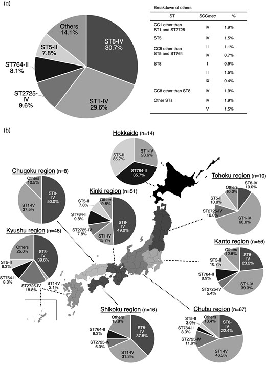 Major types in Japan. The major types in Japan (a) and each region (b) were determined by a combination of ST and SCCmec type.