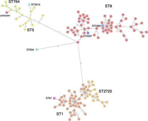 MST for all isolates. One hundred and twenty-two samples with more than 10% missing values of the items for distance calculation were excluded from the MST. An MST for 149 samples was created based on MLST (8), cgMLST (1861) and S. aureus Accessory (706) using Ridom SeqSphere+. The number in the node is a complex type determined by cgMLST. This figure appears in colour in the online version of JAC and in black and white in the print version of JAC.
