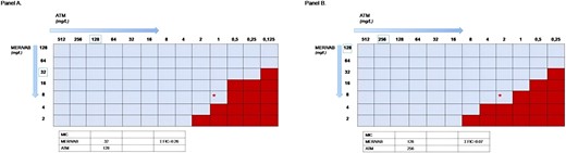 Determination of in vitro synergy by checkerboard broth microdilution against two NDM-producing Klebsiella pneumoniae (Panel A: patient 1. Panel B: patient 2). Optimal inhibition of growth at the susceptibility cut-off MIC value for both antibiotics is marked by a red asterisk: this represents meropenem/vaborbactam (MER/VAB) at a concentration of 8/8 mg/L in the presence of aztreonam (ATM) at 1 mg/L. This figure appears in colour in the online version of JAC and in black and white in the print version of JAC.