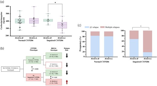 Drug blood levels and frequency of P. vivax malaria relapses according to MAO-A and CYP2D6 status. (a) Association between carboxyprimaquine blood levels and genetic status of CYP2D6 and MAO-A. Carboxyprimaquine was measured on Day 3 after the initiation of treatment in blood samples collected from participants from Boa Vista, Roraima State. The enzyme activity of MAO-A and CYP2D6 was inferred as follows: normal CYP2D6, normal/ultrarapid metabolizers (AS > 1·0); impaired CYP2D6, poor/intermediate metabolizers (AS ≤ 1·0); MAOA-H, MAO-A high expression; MAOA-L, MAO-A low expression. (b) Flowchart representing the number of individuals successfully genotyped in this study. For relapse analysis, we analysed individuals living in areas of unstable or without active transmission and subjects followed up for 2 months as part of a drug efficacy trial. (c) Frequency of malaria relapses among groups of individuals according to CYP2D6 and MAO-A activity status. ≤1R, non- or single relapse; MR, multiple relapses. This figure appears in colour in the online version of JAC and in black and white in the print version of JAC.