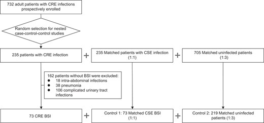 Flow chart for patient enrolment in EURECA between March 2016 and November 2018, including the final selection for the nested case-control-control study focusing on risk factors for carbapenem-resistant Enterobacterales (CRE) bloodstream infections (BSIs). CSE, carbapenem-susceptible Enterobacterales.