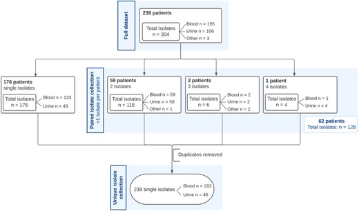 Overview of isolate collections used for analyses. The full data collection contains 304 E. coli isolates. The unique isolate collection contains 238 isolates whereas the paired isolate collection comprises 128 isolates.