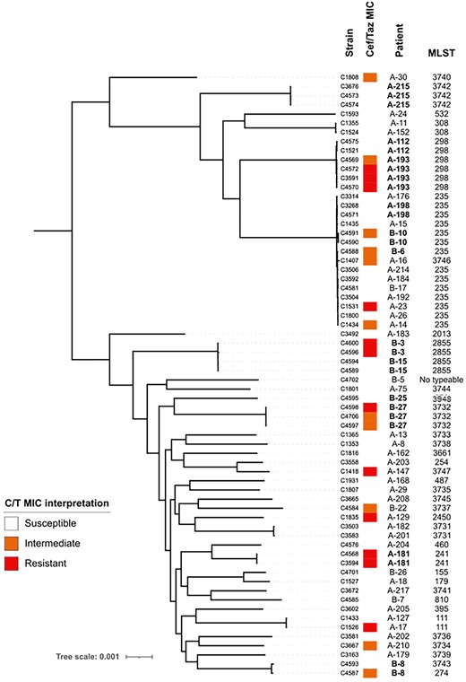 Core-genome phylogenetic tree of recovered P. aeruginosa isolates from patients treated with ceftolozane/tazobactam. Branch length is proportional to the number of differences between strains. MIC interpretive criteria established by CLSI M100, 31st edition. Patients were numbered sequentially at enrolment, A/B denotes the hospital system.