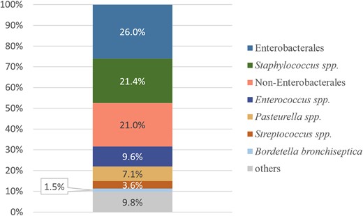 Distribution of clinical isolates from all species.