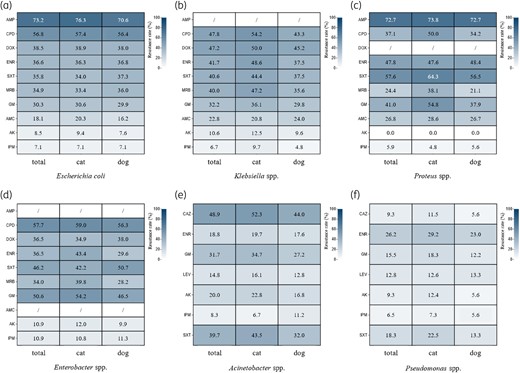 The resistance rates of Gram-negative isolates. Heatmaps are shown for (a) E. coli, (b) Klebsiella spp., (c) Proteus spp., (d) Enterobacter spp., (e) Acinetobacter spp., (f) Pseudomonas spp. AK, amikacin; AMC, amoxicillin-clavulanic acid; AMP, ampicillin; CAZ, ceftazidime; CPD, cefpodoxime; DOX, doxycycline; ENR, enrofloxacin; GM, gentamicin; IPM, imipenem; LEV, levofloxacin; MRB, marbofloxacin; SXT, trimethoprim/sulfamethoxazole.