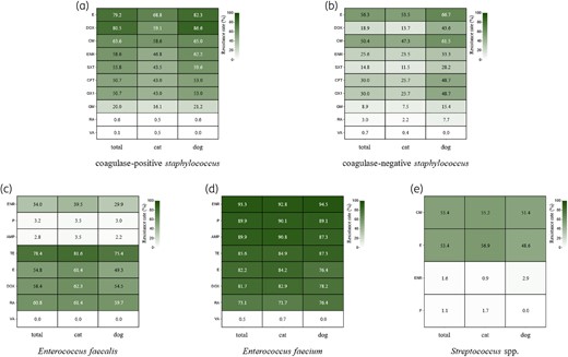 The resistance rate of Gram-positive isolates. Heatmaps are shown for (a) CoPS, (b) CoNS, (c) E. faecalis, (d) E. faecium, (e) Streptococcus spp. AMP, ampicillin; CFT, ceftiofur; CM, clindamycin; DOX, doxycycline; E, erythromycin; ENR, enrofloxacin; GM, gentamicin; OX1, oxacillin; P, benzylpenicillin; RA, rifampicin; SXT, trimethoprim/sulfamethoxazole; TE, tetracycline; VA, vancomycin.