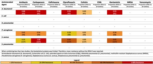 Resistance patterns of A. baumannii, E. coli, K. pneumoniae, P. aeruginosa, S. aureus and Str. pneumoniae isolates found in burn-related infections to the antimicrobial agents of interest in Lebanon.99