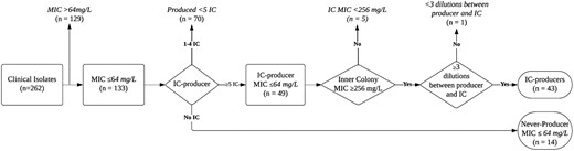 Flowchart of inclusion criteria for the heteroresistance screening. All MIC data are based on broth microdilution results.