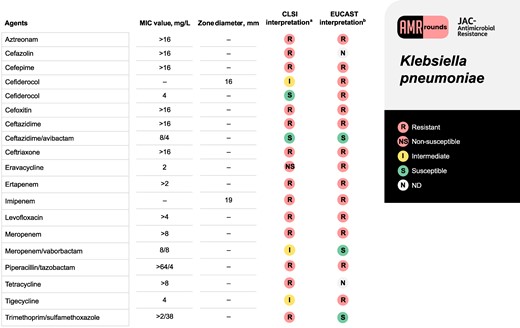 Antimicrobial susceptibility profile for the K. pneumoniae isolate corresponding to the clinical case. aMIC testing was performed using BD Phoenix Gram-negative MIC309 panel (BD Diagnostic Systems, Sparks, MD, USA). Exceptions include eravacycline, which was performed using an ETEST (bioMérieux), imipenem and cefiderocol, which were performed using Kirby–Bauer disc diffusion, and cefiderocol confirmatory susceptibilities which were determined using broth microdilution from a reference laboratory. CLSI M100-ED33:2023 version was used for interpretation and reporting of susceptibility results. bEUCAST Clinical Breakpoint Tables v. 13.1, 2023 was also used for comparison for susceptibility results.