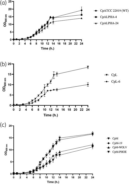 Growth curves for C. parapsilosis parental and mutant strains. (a) Parental strains: CpATCC 22019, CpL and CpM. (b) Heterozygous clones: CpALPHA-4 and CpM-19. (c) Homozygous clones: CpALPHA-24, CpL-6, CpM-WOLV and CpM-PHOE. Error bars express SD of the mean.