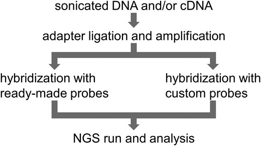 A scheme of our method.