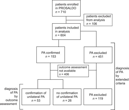 Flowchart of patients who were included in the study and in the data analysis. Patients diagnosed by extended criteria included all those in whom valid screening and confirmatory testing (if indicated) were available. Diagnosis of unilateral PA as well as definitive exclusion of PA required an outcome assessment.