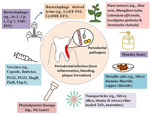 Recent developments in alternative therapeutic strategies against periodontal infections.