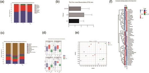 (a) Stacked histogram of the phylum-level microbial community analysis (see Supplementary data 3 for a complete statistical table of phylum-level microbial taxonomic units). (b) Evaluation of each group’s Firmicutes/Bacteroidetes (F/B) ratio. (c) Stacked histogram of the genus-level microbial community analysis (see Supplementary data 4 for a complete statistical table of microbial taxonomic units at the genus level). (d) The diversity index of the rat experimental group’s stool microbial population. (e) The distribution features of each set of samples are described using nonmetric multidimensional scaling analysis (NMDS). (f) Species composition analysis utilizing the heatmap.