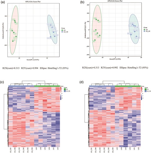 (a, b) A graph showing the OPLS-DA score in the positive (a) and negative (b) ionization modes. (c, d) The heatmap produced by hierarchical clustering of several metabolites in the positive (c) and negative (d) ionization modes.