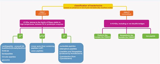 Classification of bacteriocins based on the presence or absence of post-translationally modified peptides (RiPPs).