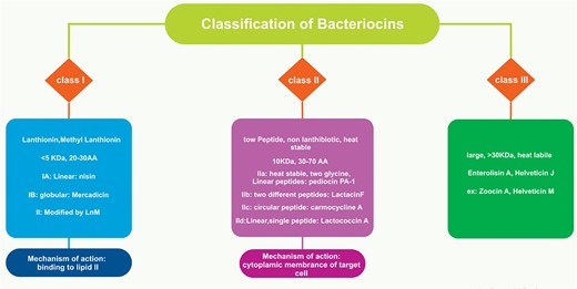 Classification of bacteriocins based on their physicochemical and structural characteristics.