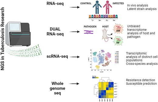 Schematic representation of various NGS method employed to infer M.tb infections.