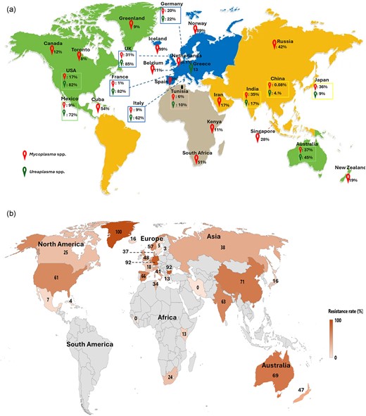 (a) The global infection rate for Mycoplasma and Ureaplasma species. These figures are based on the reported instances from 324 publications, which show the prevalence in various places. (b) Geographic distribution of total antibiotic resistance in Mycoplasma and Ureaplasma spp. from the lowest (0%) to the highest (100%). The rate was estimated using resistant isolates of positive bacteria. .