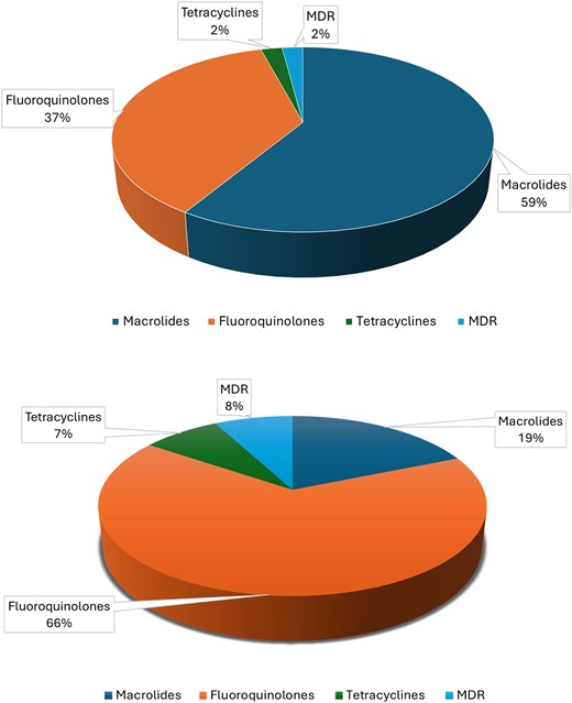 Represents the overall resistance in urogenital mycoplasma against different antibiotics such as macrolides, tetracyclines, fluoroquinolones, and MDR. Image (a) represents the resistance in Mycoplasmas spp. and image (b) represents the resistance in Ureaplasma spp.