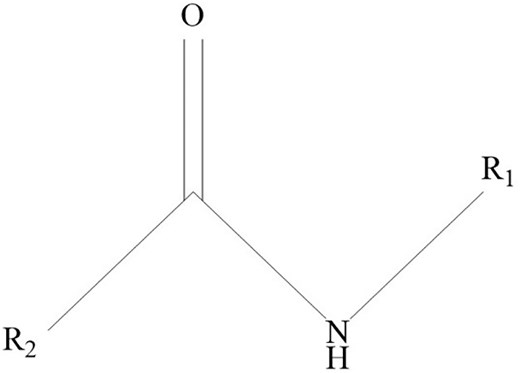 The general chemical structure of alkylamide.