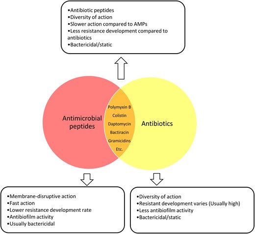 Some AMPs, such as polymyxins, gramicidins, bacitracin, and daptomycin, are considered as antibiotics. These peptides target bacterial membranes or cell wall synthesis. These peptide antibiotics often act rapidly and have a lower tendency for resistance development than conventional antibiotics. Many also exhibit enhanced antibiofilm activity by penetrating biofilms and disrupting their matrix, though efficacy varies. Despite their clinical significance, their use may be limited by compound-specific toxicity.