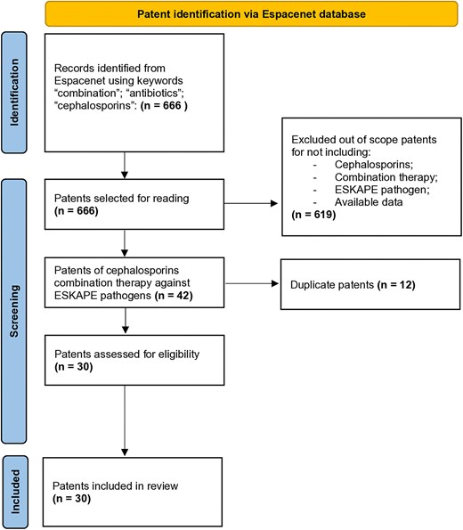 PRISMA flow diagram detailing the selection and screening process of the patent review. The diagram outlines each step from initial identification of patents to screening for relevance and final inclusion in the analysis. This systematic review ensures transparency and reproducibility.