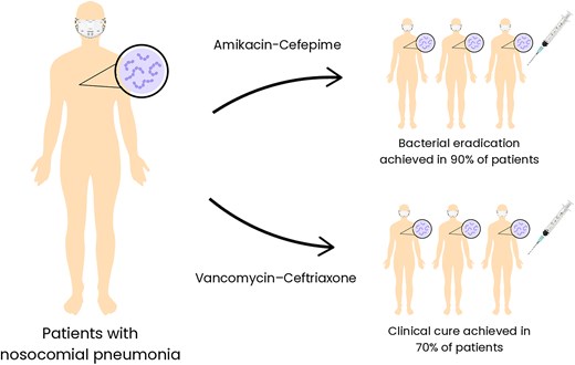 Representation of the two patented antibiotic combinations undergoing clinical trials and their therapeutic outcomes. The amikacin-cefepime combination demonstrated remarkable efficacy, eradicating bacterial pathogens in 90% of the patients included in the study. Similarly, the vancomycin-ceftriaxone combination achieved a clinical cure in 70% of the patients. The figure highlights the potential of these patented combinations in addressing infections caused by bacterial pathogens and their promising results in clinical applications.
