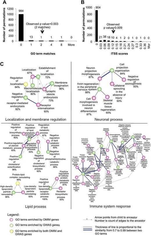 Overlap and similarity networks between Gene Ontology (GO) biological processes enriched in single-gene (Online Mendelian Inheritance in Man (OMIM)) and complex (genome-wide association studies (GWAS)) inheritance Alzheimer's disease (AD) genes. Empirical distributions were conducted by bootstrap (Materials and methods) to derive the p value of the observed exact overlap of GO terms enriched between the OMIM genes and those of the GWAS at a false detection rate (FDR) <5% cut-off of enrichments (A). Using information theoretic semantic similarity (ITSS, Materials and methods), a similar empirical calculation was conducted to identify similar GO terms enriched between the studies at the same cut-off of enrichments (B). Each bar presents the empirical distributions (arrows point to the observed results). This study confirms that specific biological processes underpin the pathophysiology of AD regardless of the mode of inheritance. GO terms were found to be enriched for 15 OMIM and 25 GWAS genes using stringent similarity and FDR criteria of (A) and (B), and, of 45 pairs found to be similar, (C), four biomodules were identified: localization and membrane regulation (eight GO terms); neuronal process (10 GO terms); lipid process (12 GO terms); immune system response (27 GO terms).