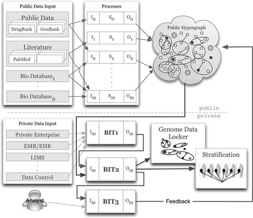 A BioIntelligence Framework for creating a hypergraph-like store of public knowledge and using this, along with an individual's genomic and other patient information, to derive a personalized genome-based knowledge store for clinical translation and discovery research.