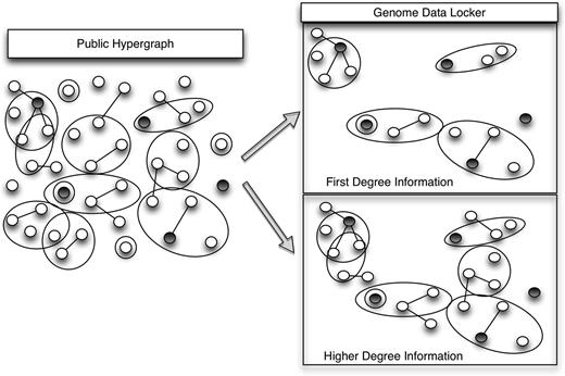 The network on the left is an example knowledge network platform. The darkened nodes represent gene variants present in an individual genome. The network on the top right is a genome-induced subgraph of the network. The network on the bottom right is a genome-induced subgraph, expanded out to include additional knowledge stored on edges in the connected-component each data element is contained in.