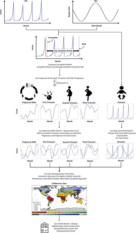Schema depicting the model that captures the effects of environmental exposure at various developmental time points during prenatal/perinatal development. Results are integrated across multiple sites using the DerSimonian-Laird random effects meta-analytical approach.