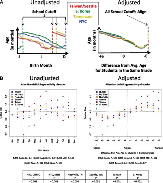 Method to detect the existence of a relative age effect in birth month–disease associations and results. (A) Illustrates the method of adjusting birth month–disease associations by school cutoff dates to calculate the relationship between relative age and disease risk. Taiwan and Seattle, Washington, are grouped together because the school cutoff date is the same at both locations (August 31). (B) Shows the only significantly associated disease found across all 6 sites between relative age and disease risk, attention deficit hyperactivity disorder (ADHD). The average difference in relative risk (RR) by relative age was calculated, resulting in a difference of 17.97% in peak vs trough months. Peak risk was observed in the −5 month and trough (lowest risk) was observed in the +4 month. Average peer age occurred at 0.