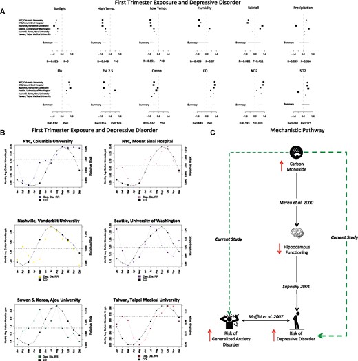 Depressive disorder and first-trimester exposure to carbon monoxide. (A) Depressive disorder and first-trimester exposure to all environmental factors. Larger squares in (A) indicate correlations with larger confidence intervals, which typically occur when the number of patients at a given site is low for a particular disease. (B) Relationship between depressive disorder and first-trimester carbon monoxide exposure at each study site. Each site has its own subplot in (B); the colored line is the relative risk of depressive disorder at that site by birth month. The solid black lines indicate first-trimester exposure to carbon monoxide (CO) at each site. (C) Connecting the literature on first-trimester CO exposure and offspring’s risk of depressive disorder and our current study. Solid black arrow denotes each literature link, with directionality denoted by up or down red arrows. High CO exposure increases the risk of lower hippocampus functioning (Mereu et al55). Reduced hippocampus functioning is a hallmark of depression/depressive disorder.56 The major link in our current study is the link between first-trimester CO exposure and increased risk of depressive disorder (thick dashed green line). Moffitt et al.52 found that for a large group of patients, there is a combined disorder involving generalized anxiety disorder (GAD) and major depressive disorder (MDD). We also found a lower correlation between GAD and first-trimester exposure to CO, suggesting that patients afflicted with both diseases could have been exposed to CO.