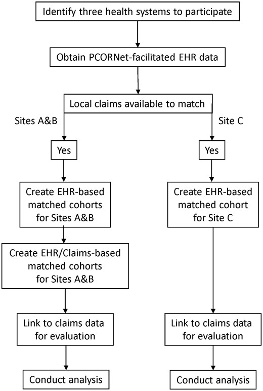 Overview of study design.