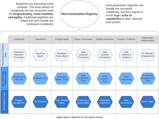 Capabilities need to plan, execute, and sustain next-generation registries. Double-line links between pairs of items show close direct dependencies. Used with permission of the authors.22