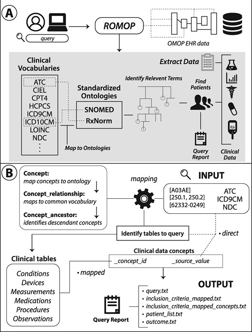 Schematic and structure of ROMOP. (A) ROMOP interfaces with OMOP-formatted EHR data in a relational database structure. Users can retrieve all relevant clinical, demographic, and encounter data for a list of patients directly into an R object as well as search for patients using any vocabulary contained within the OMOP CDM. (B) When searching for patients using clinical vocabularies, ROMOP offers the option to automatically map (“map” option) to the standardized ontology (eg, SNOMED) and query all concepts lower in the hierarchy (ie, descendants). Alternatively users can search for terms directly (“direct” option). ROMOP identifies the relevant clinical tables and fields to query and can produce a set of outputs detailing the query and outcomes. CDM: common data model; EHR: electronic health record; OMOP: Observational Medical Outcomes Partnership.