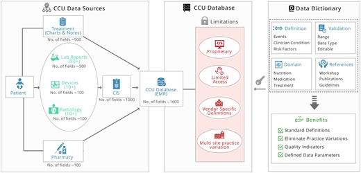 A schematic illustration of developing open data dictionary for CCUs. CCU: critical care unit.