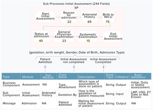 Doctor’s panel: Initial assessment and its sub components.
