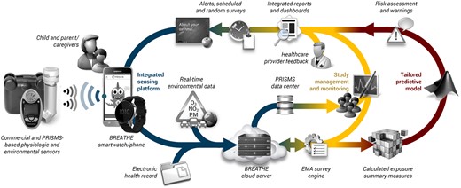 High-level architecture overview for the BREATHE platform. The system comprises three interacting components addressing sensor and data integration, user interaction, and analysis. A smartwatch/smartphone is the cornerstone for sensor connectivity and communication with the child/caregiver. BREATHE sends data to a cloud-based server in real-time, enabling continuous monitoring of events. Real-time dashboards permit biomedical researchers (eg, epidemiologists, environmental health scientists) to track subject progress and identify study issues. Healthcare providers can also view data through customized reports. Data are accrued over time in the backend to develop an individually tailored understanding of each child’s asthma. BREATHE: Biomedical REAl-Time Health Evaluation; EMA: ecological momentary assessment; PM: particulate matter.