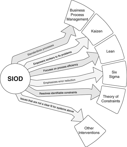 Potential Connections between SIOD and Other Progress Improvement Systems.