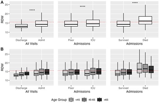 (A) Red blood cell distribution width (RDW) by outcome. All comparisons between means of each binary outcome were significant by Wilcoxon signed-rank test (P < 2e−16, denoted by ****). (B) RDW by outcomes by age group. All comparisons between means within each of the 3 age groups were significant by Wilcoxon signed-rank test, with all but Floor versus ICU for age <45 (P = 3e−4) and Floor versus ICU for age 45–65 (P = 1.3e−13) achieving P < 2e−16. Elevated RDW, as defined by the healthcare system (>15.5), is shown by the red dotted line. Thick line represents the median; box represents the interquartile range (IQR); and whiskers represent the 1.5 × IQR from the first and third quartile.