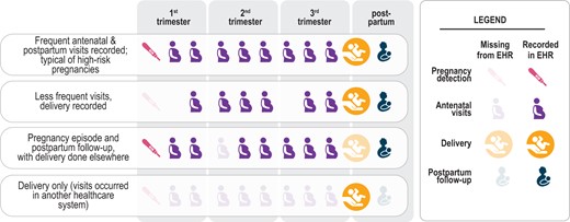 Common scenarios of pregnancy episodes in N3C illustrate how the EHR provides an incomplete picture of care. Some visits were not recorded (occurred in another healthcare system), and yet others were likely recorded inconsistently or inaccurately. Some routine visits may have occurred in another healthcare system or may not have occurred at all, potentially due to healthcare disruption caused by the pandemic.