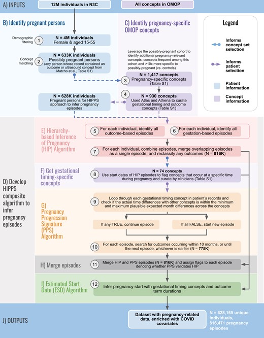 Overview of HIPPS. The inputs (A) of our composite algorithm are all individuals and the full set of OMOP concepts in N3C. From these, we identify pregnant persons (B) and identify pregnancy-specific concepts (C). Our HIPPS algorithm (D) is comprised of the Hierarchy-based Inference of Pregnancy (HIP) algorithm (E), Get gestational timing concepts (F), Pregnancy Progression Signature (PPS) Algorithm (G), Merge episodes (H), and Estimated Start Date (ESD) Algorithm (I). The output is a dataset with pregnancy-related data and enriched with COVID covariates. The following are the individual steps within each panel. (1) From the 12 million (M) patients in N3C, we identified 4M that were both female and of reproductive age (15–55 years). (2) Of these, we identified 633K possibly pregnant persons who matched at least one concept in an initial set of ultrasound and pregnancy outcome concepts from Matcho et al.12 (3) To develop an enriched set of concepts specific for pregnancy, we then assessed concept frequency among the initial cohort of possibly pregnant persons and chose 1417 concepts that were present in at least 1000 individuals and were 10X (determined empirically via distribution analysis) more frequent among possibly pregnant persons relative to controls (all other patients in N3C). (4) We utilized Athena and Atlas to expand and curate the concepts from Matcho et al related to pregnancy outcomes and gestational age. (5–7) For each of the 628K pregnant persons selected for the HIPPS approach based on the presence of at least one of the 930 concepts in their records, we inferred pregnancy episodes with the Hierarchy-based Inference of Pregnancy (HIP) Algorithm. Gestation-based and outcome-based episodes were first defined before combining them for each pregnant person. Any overlapping episodes were merged as a single episode and any outcomes were reclassified if the gestational age info did not align with the outcome. (8) We then used the start dates of the HIP episodes to discover concepts that occur during a specific time during pregnancy from the 1417 pregnancy-specific concepts derived from Step 3. Concepts with a standard deviation of <1.5 months were kept for clinicians to vet and assign minimum and maximum months of when these concepts most likely occur during pregnancy. (9) The Progressing Pregnancy Signature (PPS) Algorithm was applied to both (A) validate HIP algorithm predictions and (B) provide further evidence of pregnancy in the data using a separate set of concepts and logic: iterations of comparisons of each concept with other gestational timing concepts for each person were performed, followed by checks of whether the actual difference in dates was within the minimum and maximum plausible expected months for the concepts. If at least one comparison between concepts evaluated to “TRUE”, the algorithm continued building the pregnancy episode. If all evaluated to “FALSE”, then a new pregnancy episode was begun if a minimum permissible retry period of 60 days was also met. (10) For each PPS episode, outcomes were added if they occurred within 10 months or until the next episode, whichever was earlier. (11) We then combined HIP and PPS episodes and checked which HIP episodes and outcomes were supported by PPS. (12) Lastly, pregnancy start dates were calculated using the Estimated Start Date (ESD) Algorithm using the gestational timing concepts from Step 8. The result of the HIPPS approach is a dataset that can be enriched to include other variables of interest related to pregnancy and in our case, COVID-19.