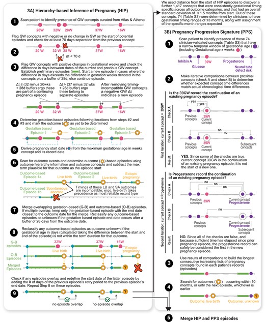 Inference of pregnancy episodes. (A) Definition of Hierarchy-based Inference of Pregnancy (HIP) algorithm: episodes were inferred by both an initial set of gestational timing markers (gestation-based episodes) and outcomes (outcome-based episodes), shown in steps 1–6. Both types of episodes were then merged and quality checked (steps 7–9). (B) Definition of Pregnancy Progression Signature (PPS) algorithm: we leveraged further, empirically derived, gestational timing markers based on low standard deviation distance from HIP algorithm start dates across any pregnancy outcome category, followed by clinician curation of expected gestational timing ranges (N = 74 concepts). The patient records were first scanned for this new set of gestational timing concepts (step 1), followed by detailed iterations across the patient data making comparisons between pairs of concepts to determine whether to extend or start a new episode (steps 2–3). To provide further clarity, equations representing these iterations and detailed application to an example patient can be found in Figure S1. Where present, outcomes were appended to the end of the progression signatures to derive the full recorded episode (step 4). Finally, we first check for any overlap of HIP and PPS episodes. Then we have additional steps to remove episodes that overlap with more than 2 episodes—prioritizing the episodes with the closest end dates. The resulting pairs of overlapping episodes are merged using a union of the 2 source episodes (eg, taking the earliest date from both, and the latest date from both) (step 5). Note that for both algorithms these panels provide the full algorithm definition, examples are used purely to provide clarity.