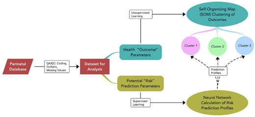 Artificial neural networks unsupervised learning: self-organizing map (SOM) and supervised learning: identify factors predicting SOM cluster identity. SOMs were created without supervision through a process of competitive learning and neighborhood adaptation. SOMs autonomously organize the data by grouping similar data in a similar multivariate, forming clusters, and revealing underlying patterns or relationships. The data used to create the SOM were, weeks/days gestation, infant heel-crown length, Apgar score at 1 min, and Apgar score at 5 min. Next, we applied supervised learning methods to predict the relationships between the birth indicator clusters and maternal predictive factors of clinical interest using neural network calculation of risk. The maternal factors for the prediction profiles included, pre-pregnancy weight, pregnancy weight change, pre-pregnancy BMI, gestational diabetes (yes/no), and the number of prenatal visits.