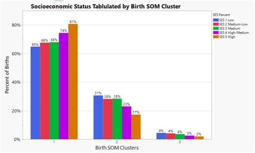 Illustrates the percent of births within each self-organizing birth map cluster by socioeconomic status level in Milwaukee County. It also illustrates the inequality of self-organizing birth map cluster assignment at each socioeconomic status level.